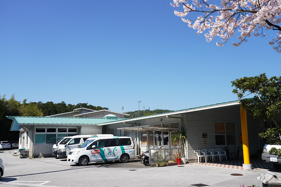 ウィール社